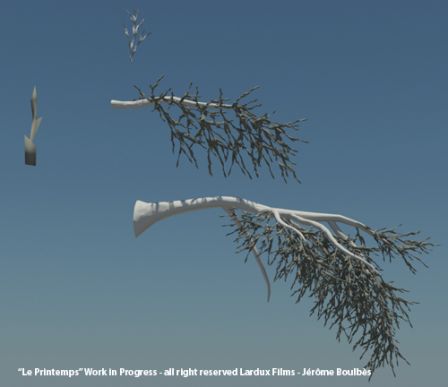branches.jpg