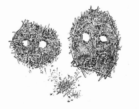 Resize_of_masquesDebris.jpg